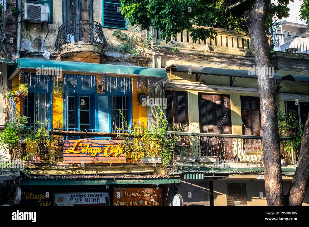 Tipiche facciate del quartiere francese, Hanoi, Vietnam Foto Stock