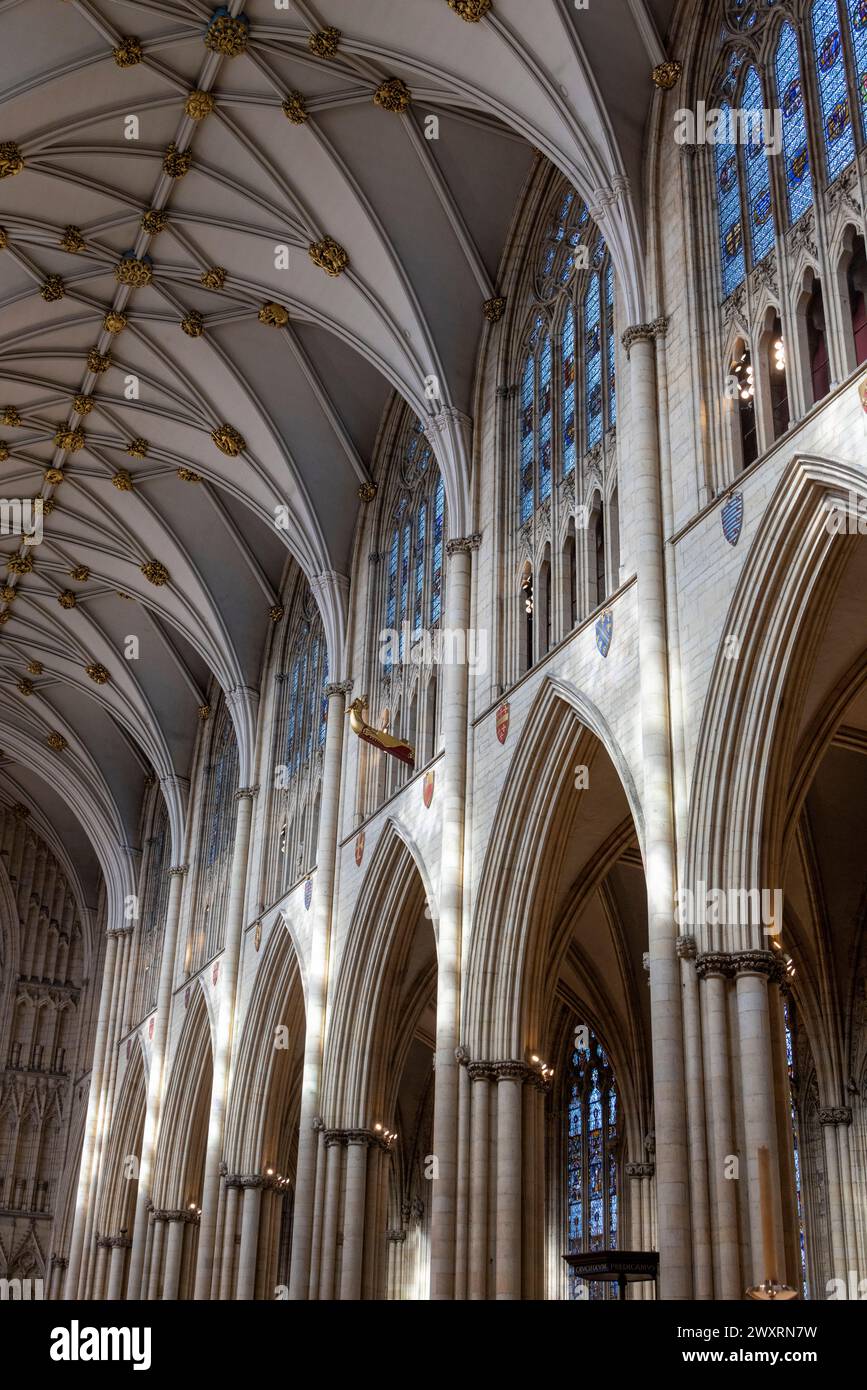 Navata, Cattedrale di York, York, Inghilterra Foto Stock