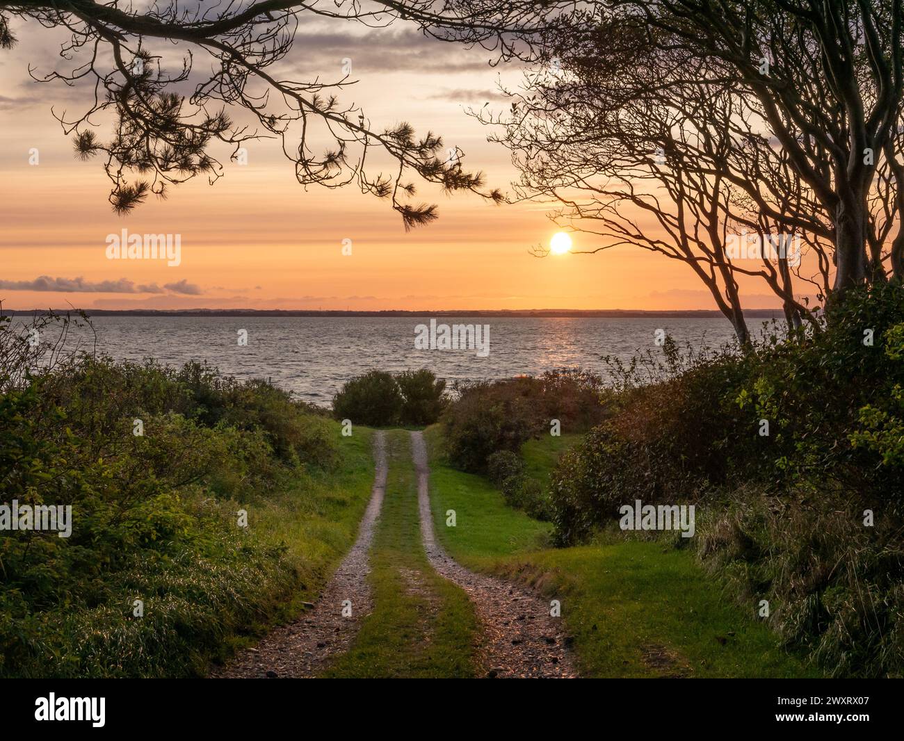 Strada di campagna sul mare al tramonto con vista su Kattegat sull'isola di Tunø, Midtjylland, Danimarca Foto Stock