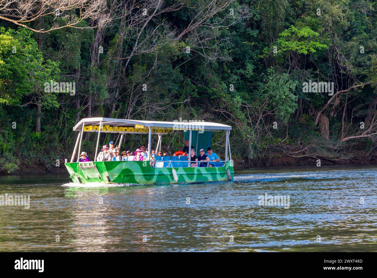 Una barca turistica alla ricerca di coccodrilli sul fiume Daintree nel far North Queensland, Australia Foto Stock