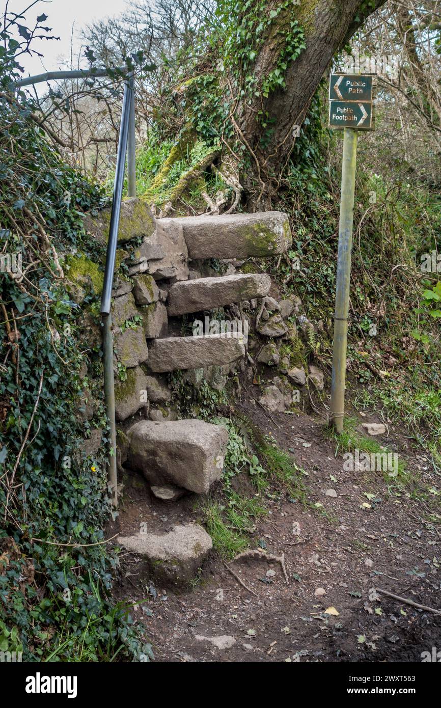 Un tradizionale "stile di pecora" della Cornovaglia, con gradini o gradini di pietra adagiati sulla facciata di una siepe della Cornovaglia, costruito con blocchi di pietra e tappeti erbosi (Cornovaglia, Regno Unito) Foto Stock