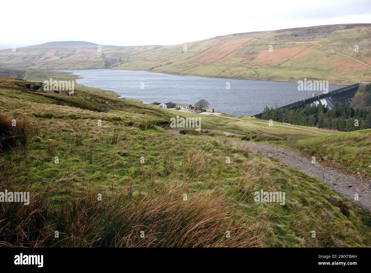 Little Whernside e la pista per Scar House Reservoir da Middlesmoor sulla Nidderdale Way nel Yorkshire Dales National Park, Inghilterra, Regno Unito. Foto Stock