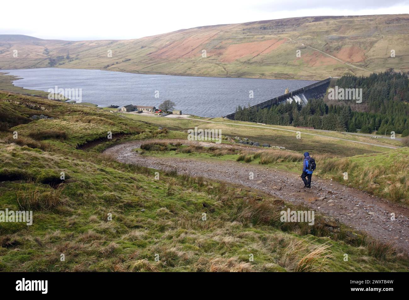Man (escursionista) Walking on Track per Scar House Reservoir da Middlesmoor sulla Nidderdale Way nel Yorkshire Dales National Park, Inghilterra, Foto Stock