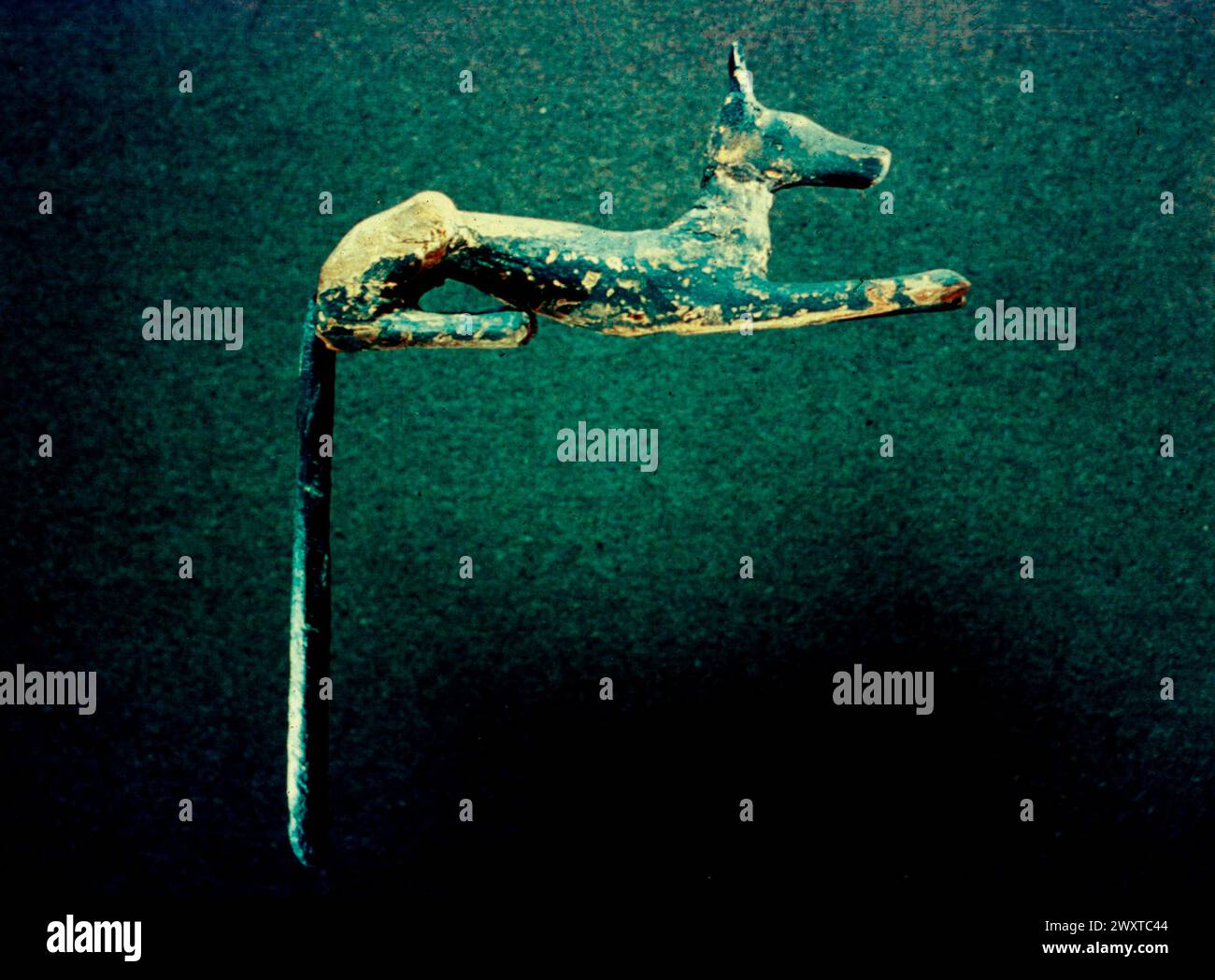 Statua lignea del dio egizio Anubis, Luxor, Egitto 3000 a.C. Foto Stock