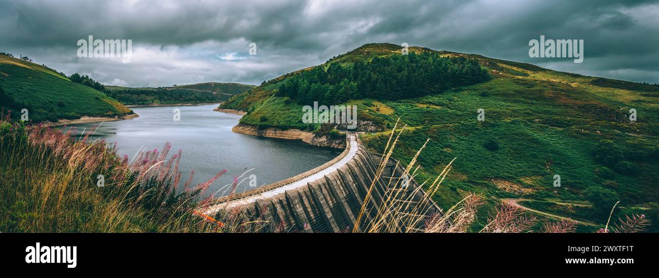Vista sul lago artificiale Llyn Clywedog e sulla diga di cemento Foto Stock
