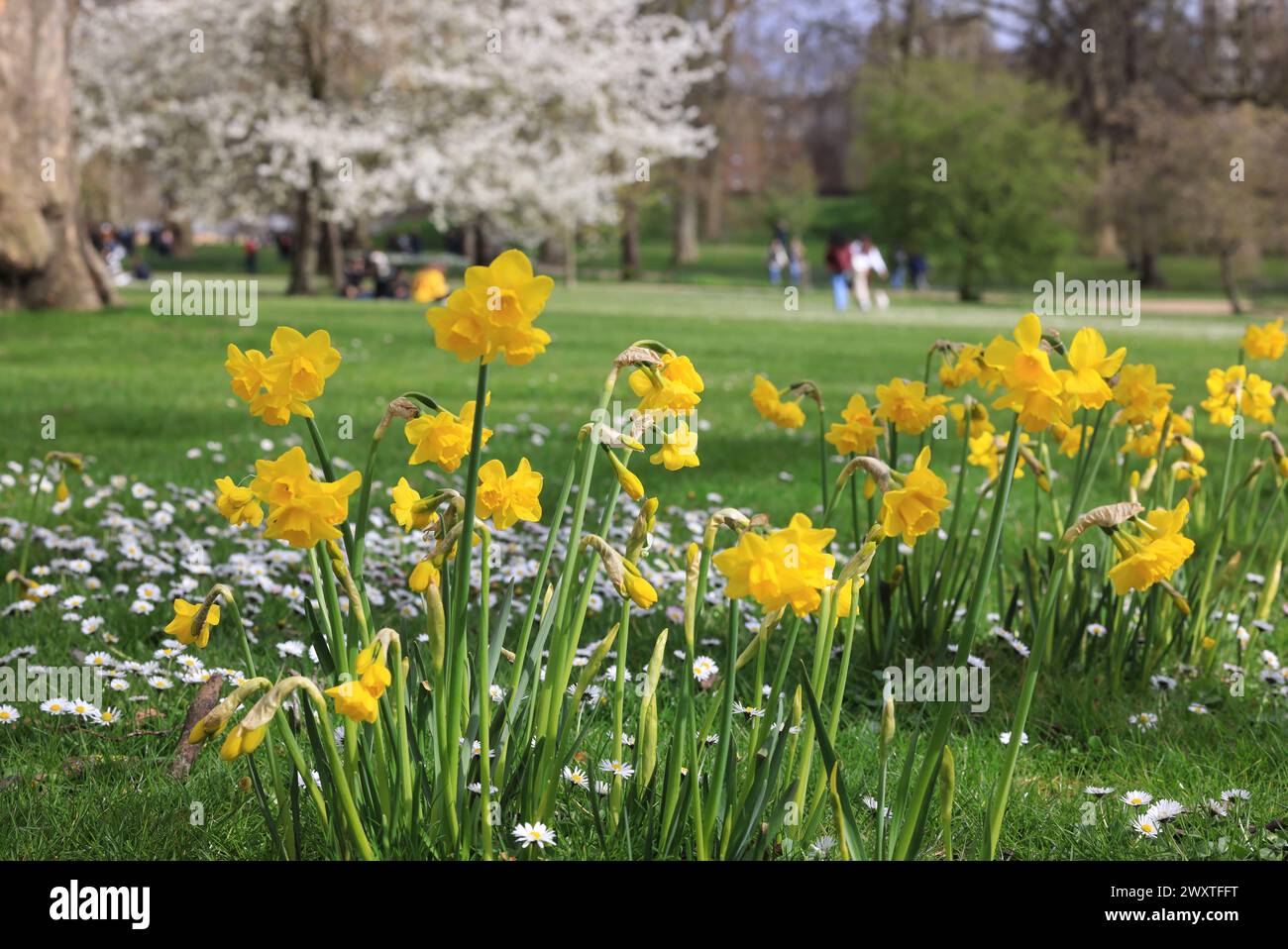 Il tempo era migliore di quanto ci aspettassimo il lunedì di Pasqua del 1 aprile 2024, a St James Park, nel centro di Londra, Regno Unito Foto Stock