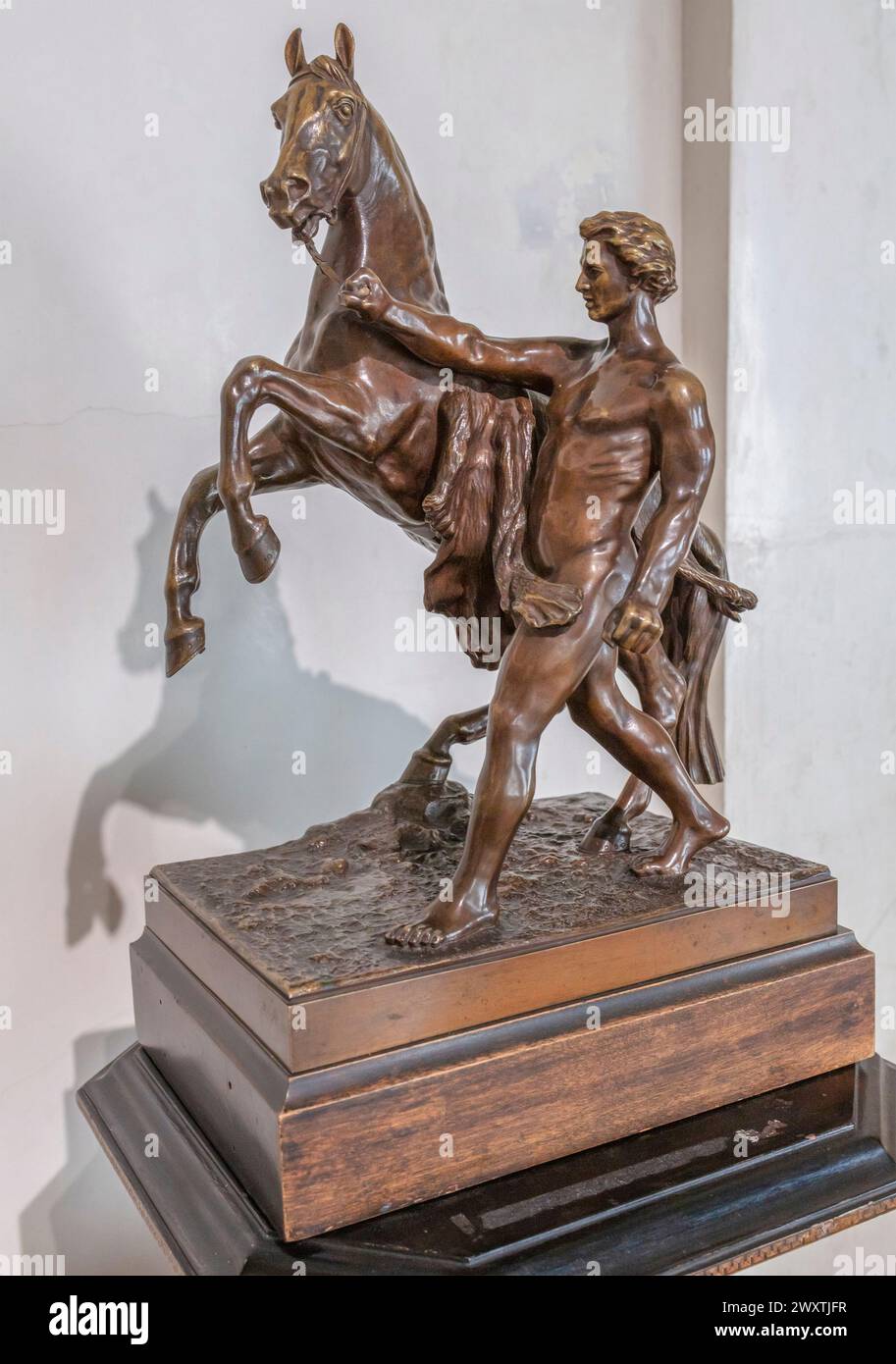Scultura in bronzo del cavallo, museo delle Belle Arti di Kaluga, Kaluga, Russia Foto Stock