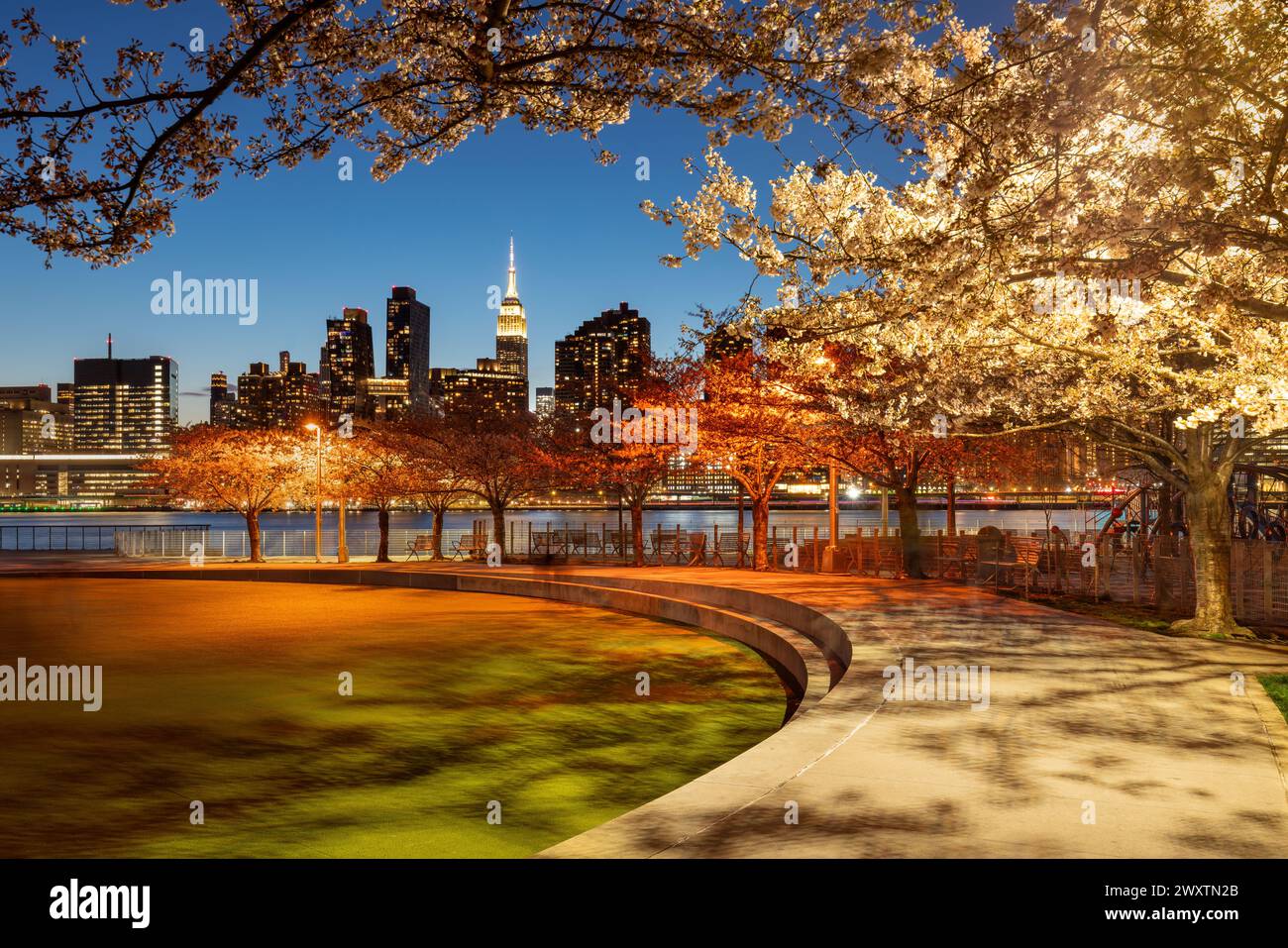 Primavera serale nel Long Island City Hunter's Point South Park. East River, ciliegi e grattacieli di Manhattan dal Queens, New York City Foto Stock