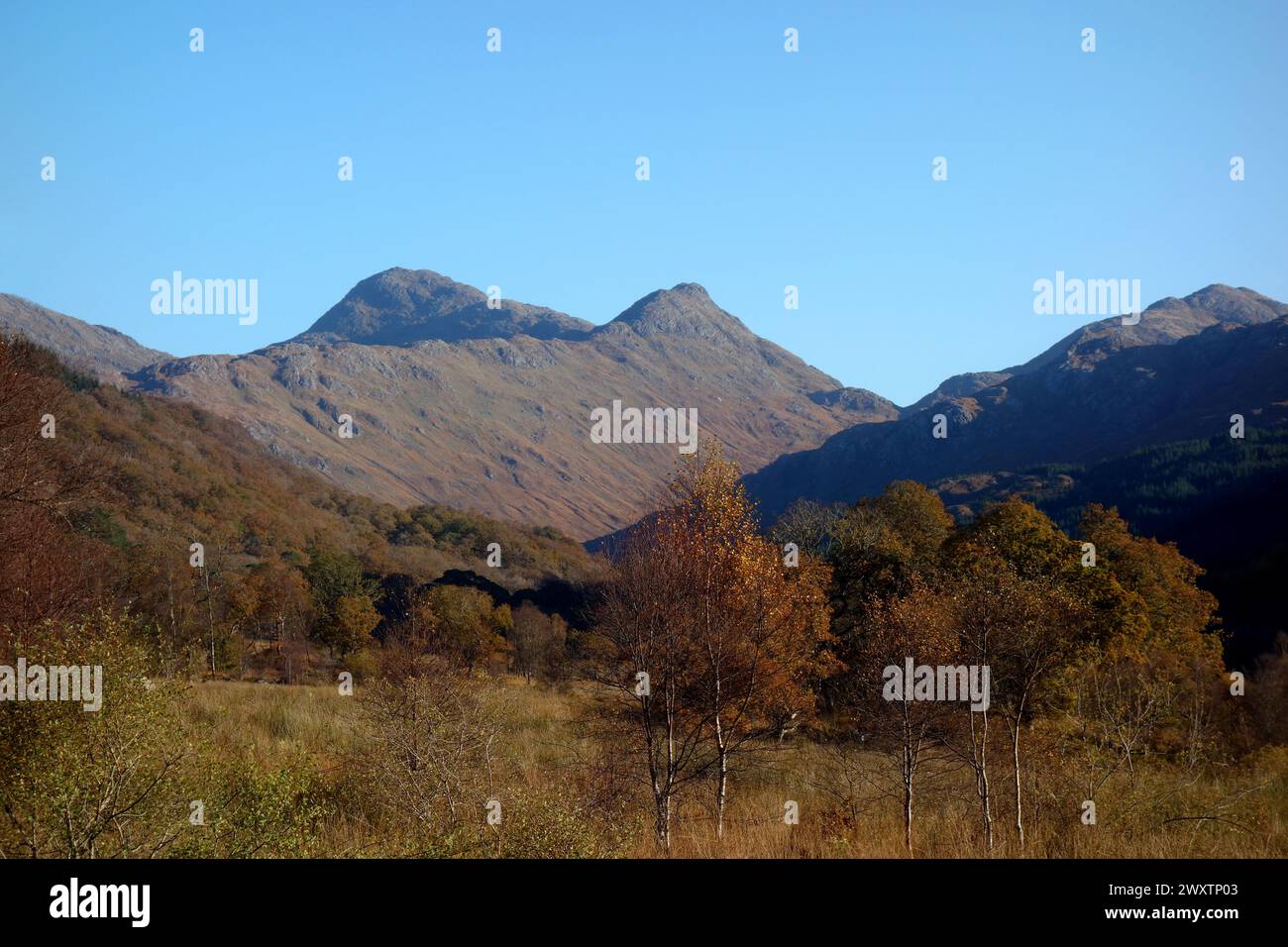 "Sgurr na h-Ighinn" e il Corbett scozzese della montagna "Sgurr Dhomhuill" di Ceann A' Chreagain ad Ardgour, Highlands scozzesi, Scozia. REGNO UNITO. Foto Stock