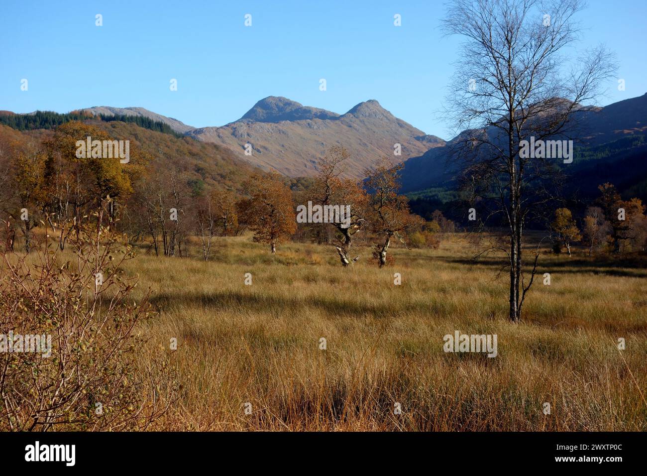 "Sgurr na h-Ighinn" e il Corbett scozzese della montagna "Sgurr Dhomhuill" di Ceann A' Chreagain ad Ardgour, Highlands scozzesi, Scozia. REGNO UNITO. Foto Stock