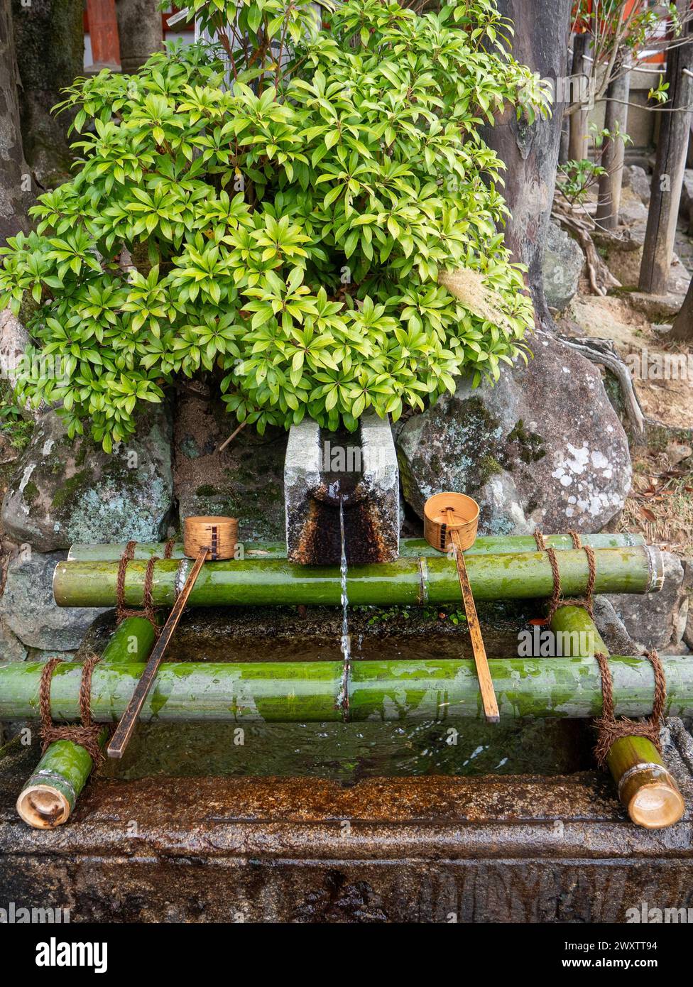 Una fontana di Chōzubachi di fronte al santuario Kasuga Taisha a Nara. Foto Stock