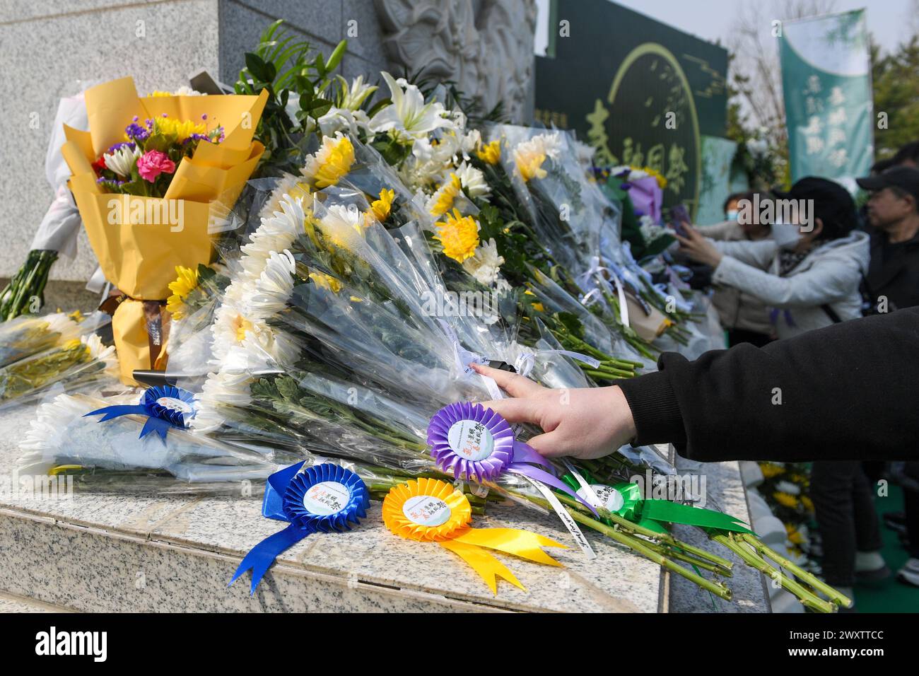 Pechino, Cina. 2 aprile 2024. La gente giaceva fiori per piangere il defunto in un cimitero a Pechino, capitale della Cina, 2 aprile 2024. Il Qingming Festival, o Tomb-Sweeping Day, cade giovedì di quest'anno. Si tratta di una tradizionale festa cinese che rende omaggio ai defunti ed è il momento per le persone di adorare i loro antenati. Crediti: Ju Huanzong/Xinhua/Alamy Live News Foto Stock