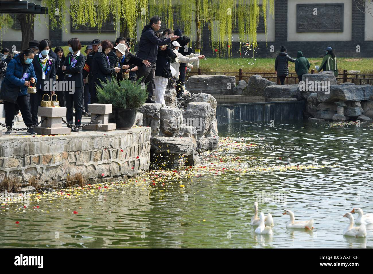 Pechino, Cina. 2 aprile 2024. La gente disperde petali in un fiume per piangere il defunto in un cimitero di Pechino, capitale della Cina, 2 aprile 2024. Il Qingming Festival, o Tomb-Sweeping Day, cade giovedì di quest'anno. Si tratta di una tradizionale festa cinese che rende omaggio ai defunti ed è il momento per le persone di adorare i loro antenati. Crediti: Ju Huanzong/Xinhua/Alamy Live News Foto Stock