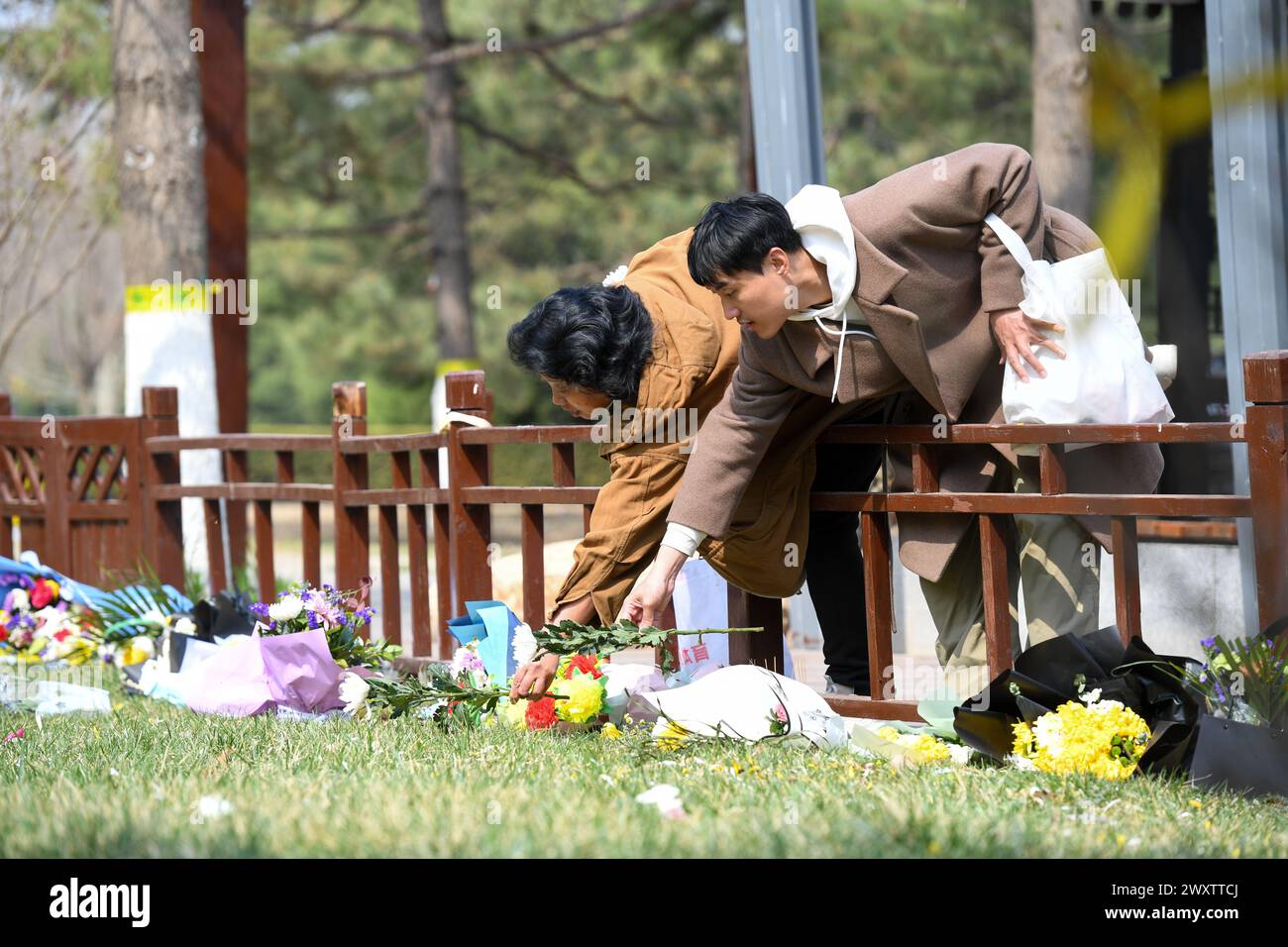 Pechino, Cina. 2 aprile 2024. La gente giaceva fiori per piangere il defunto in un cimitero a Pechino, capitale della Cina, 2 aprile 2024. Il Qingming Festival, o Tomb-Sweeping Day, cade giovedì di quest'anno. Si tratta di una tradizionale festa cinese che rende omaggio ai defunti ed è il momento per le persone di adorare i loro antenati. Crediti: Ju Huanzong/Xinhua/Alamy Live News Foto Stock