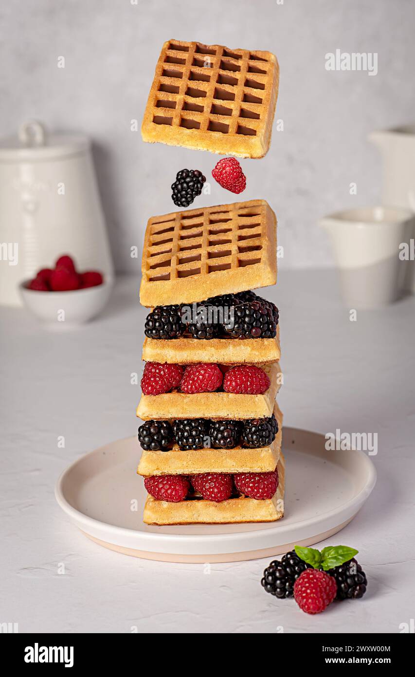 Fotografia gastronomica di waffle belgi, blackberry, lampone, colazione; latte; belga; bevanda; salsa; fondo; biscotti; giorno, levitazione Foto Stock