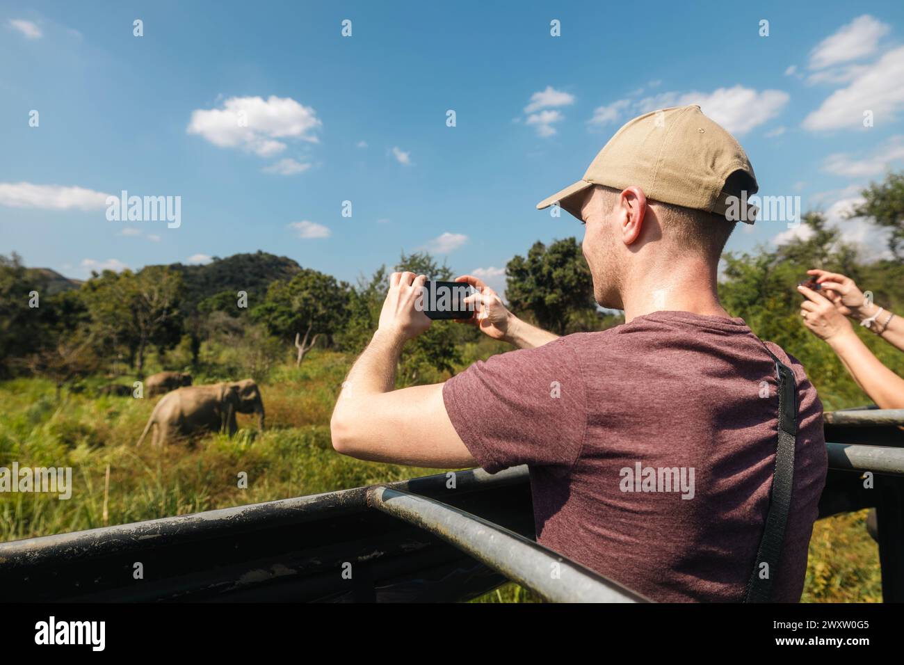 Il turista sta sta fotografando una mandria di elefanti selvatici con uno smartphone. Uomo che ama il safari in Sri Lanka. Foto Stock