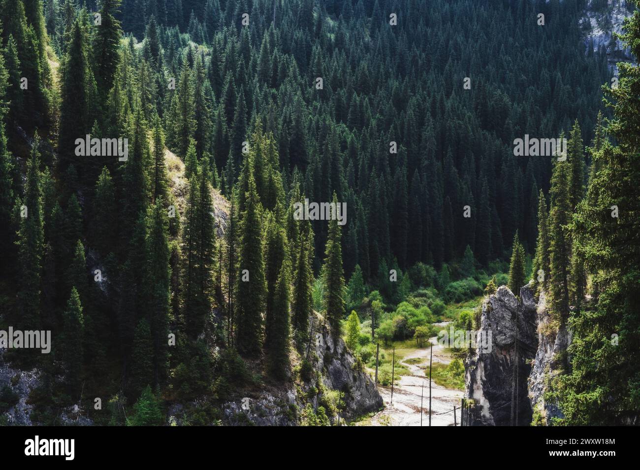 Paesaggio con splendide foreste di abeti rossi sulle montagne Tien Shan in Kazakistan in estate. Vista dall'alto da un drone Foto Stock