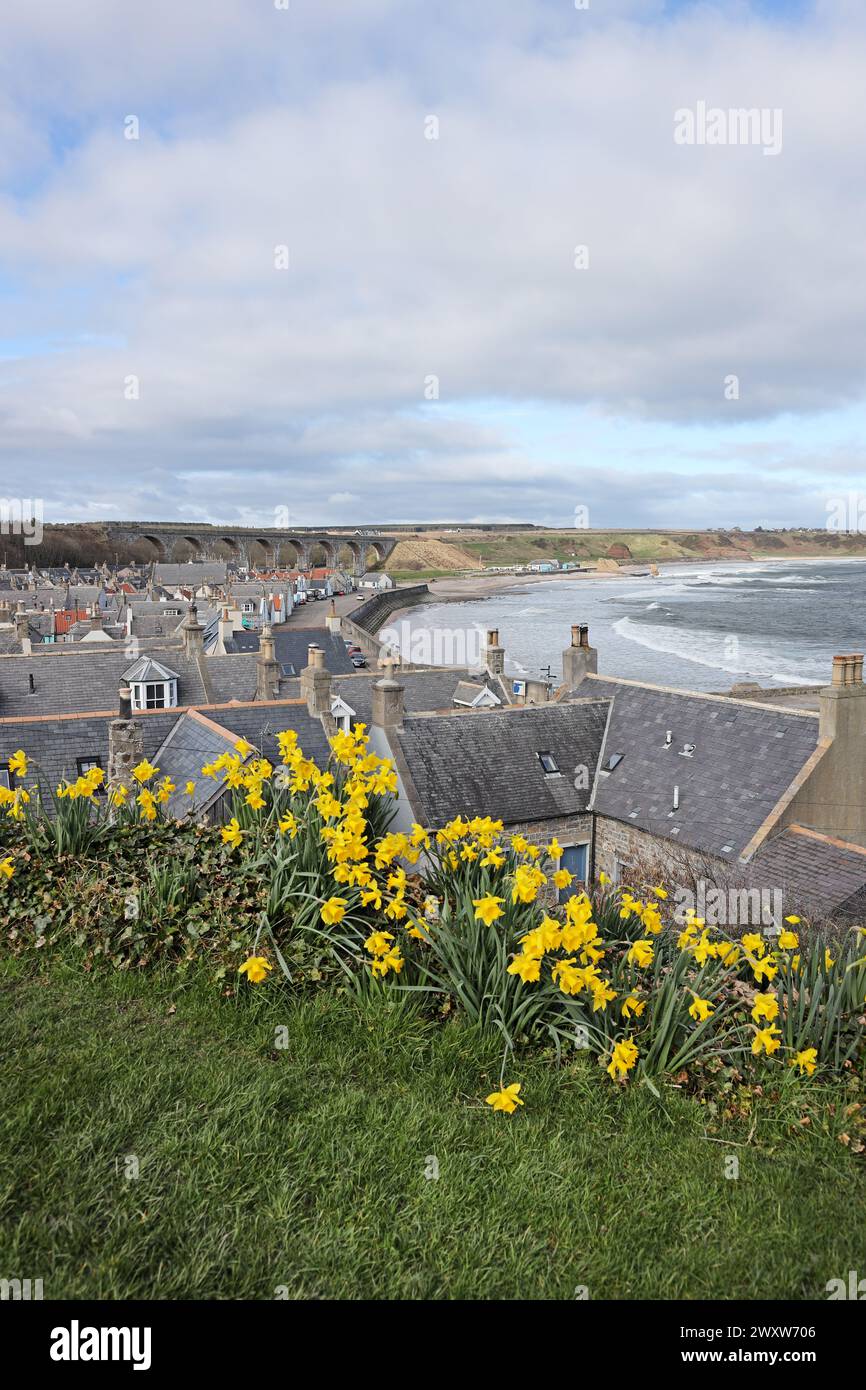 Il villaggio costiero di Cullen in Spring, Moray, Scozia, Regno Unito Foto Stock