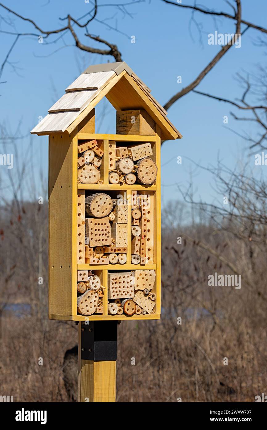 Una casa d'api a camera singola per api solitarie. Nuovo legname di pino con un cielo blu come sfondo Foto Stock