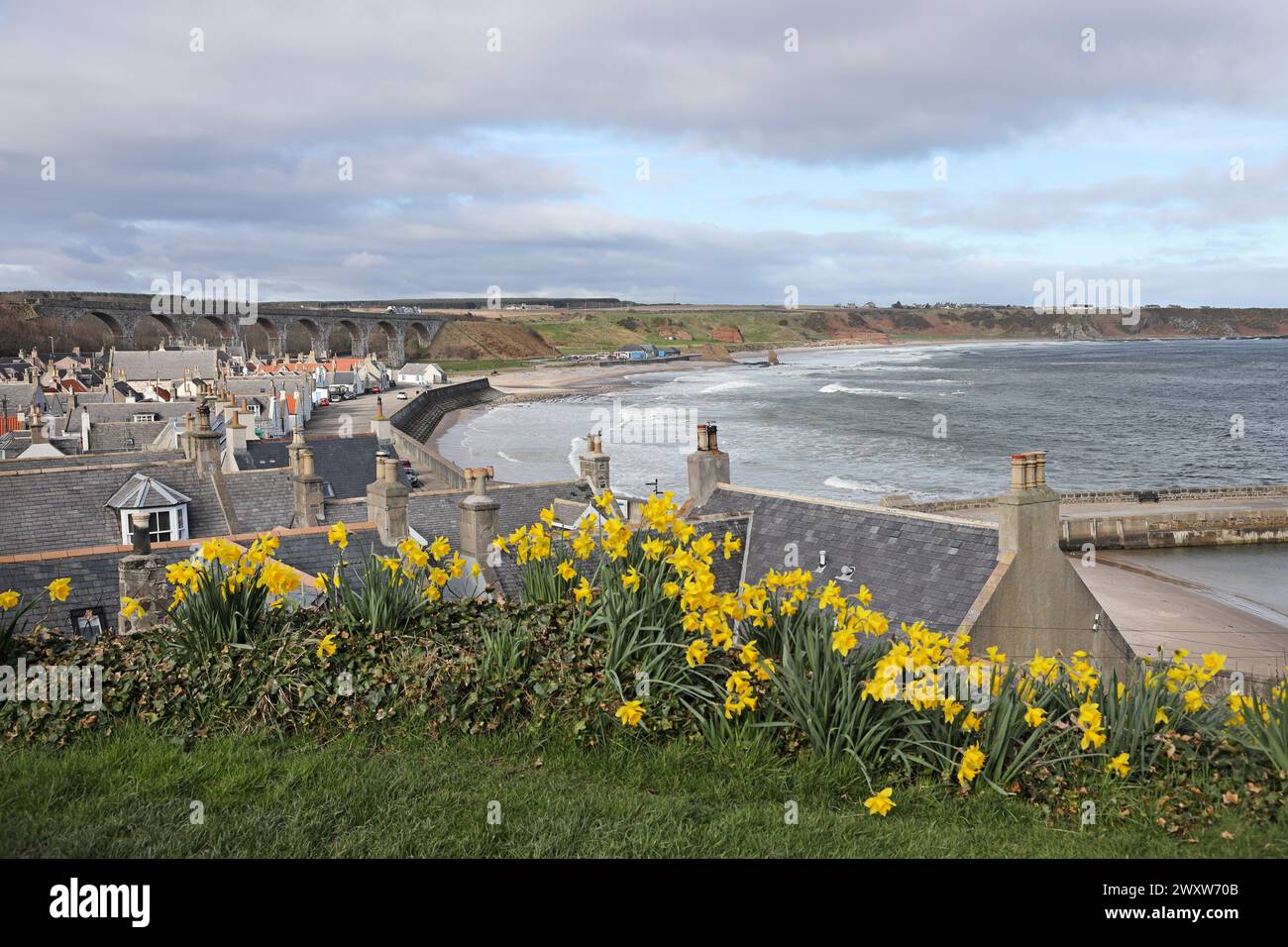 Il villaggio costiero di Cullen in Spring, Moray, Scozia, Regno Unito Foto Stock