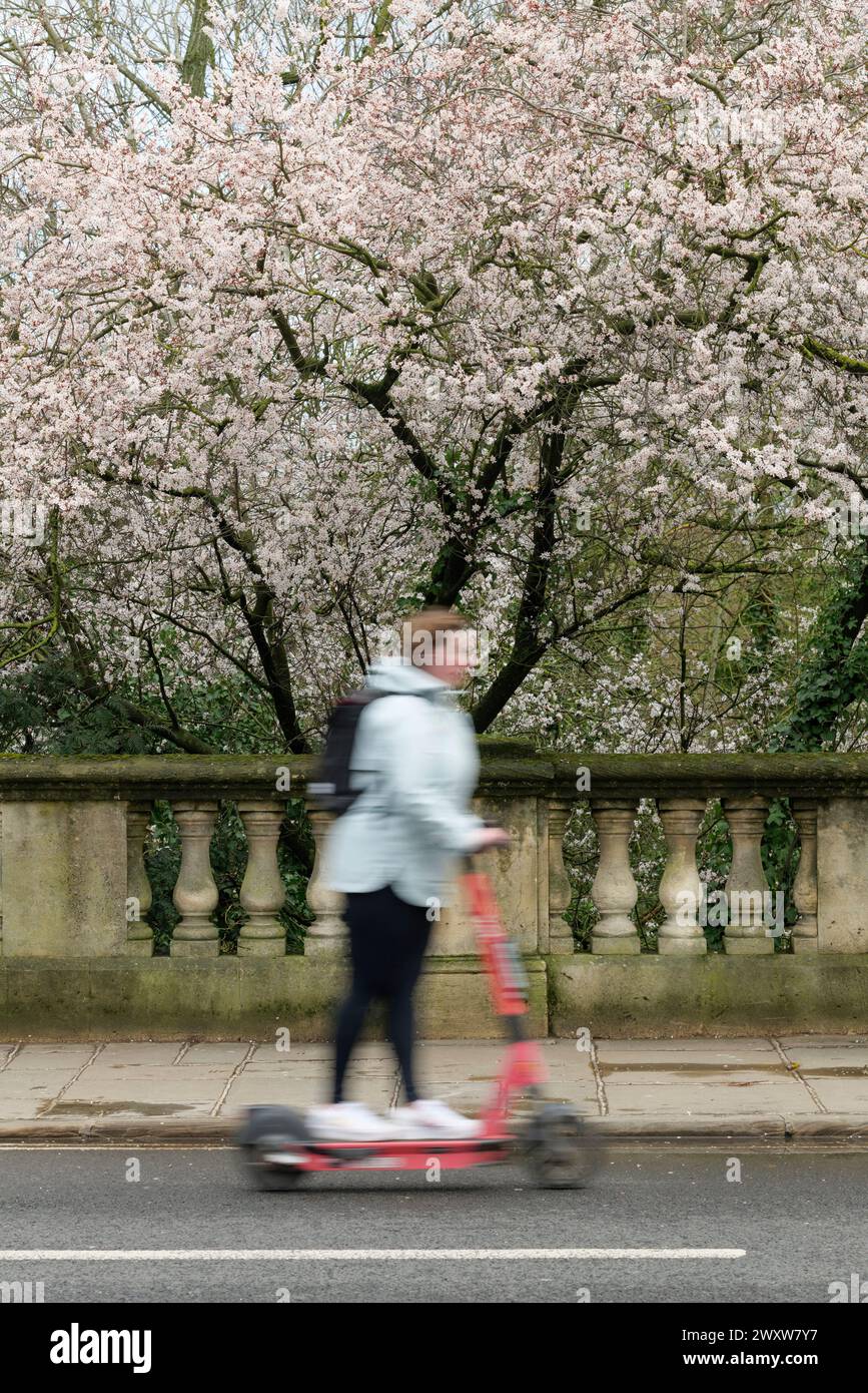 Magdalen Bridge sul fiume Cherwell, Oxford, Inghilterra Foto Stock