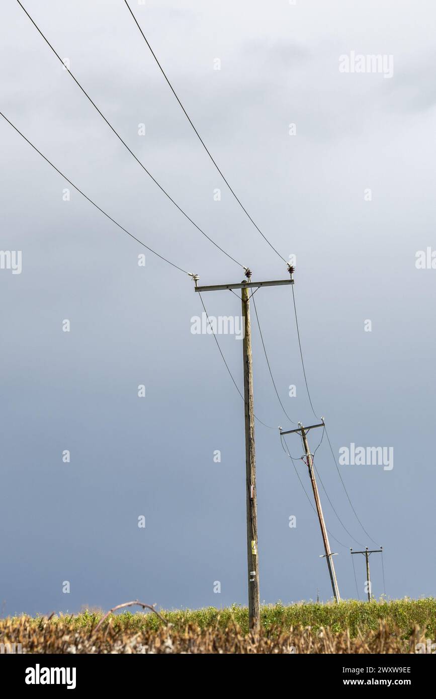 Una vista ad angolo basso dei pali del telegrafo nel Sussex rurale Foto Stock