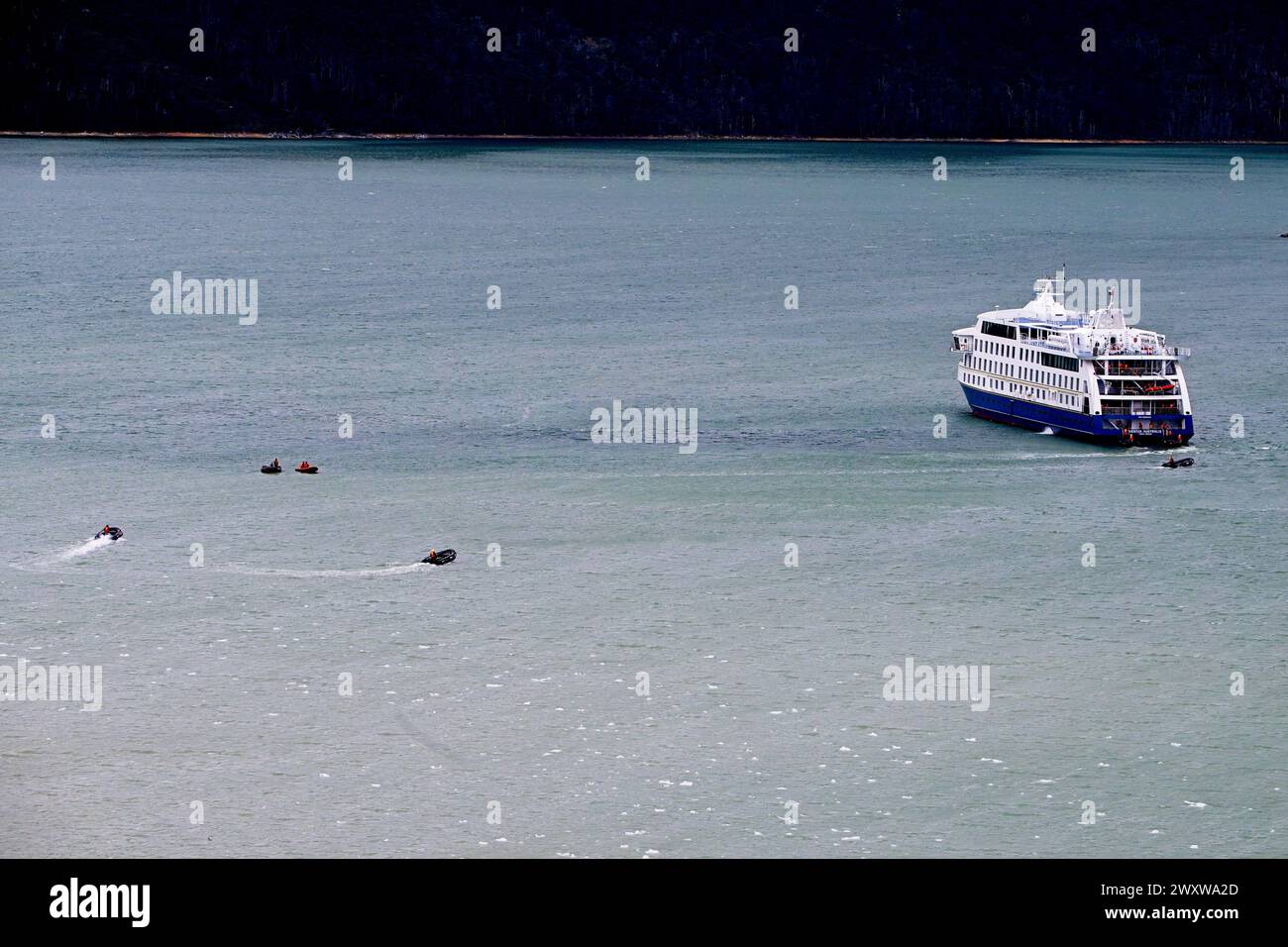 La nave da crociera Australis ormeggiata a Pia Bay con gommoni rigidi da e per il ghiacciaio Pia. Foto Stock