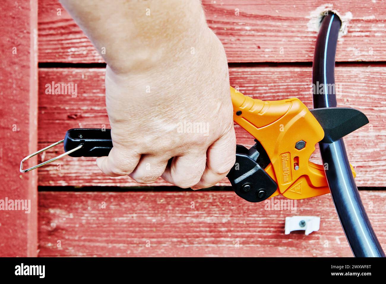 Utilizzo di cesoie a cricchetto per tagliare tubi in HDPE durante l'installazione di un'alimentazione esterna di acqua potabile. Foto Stock