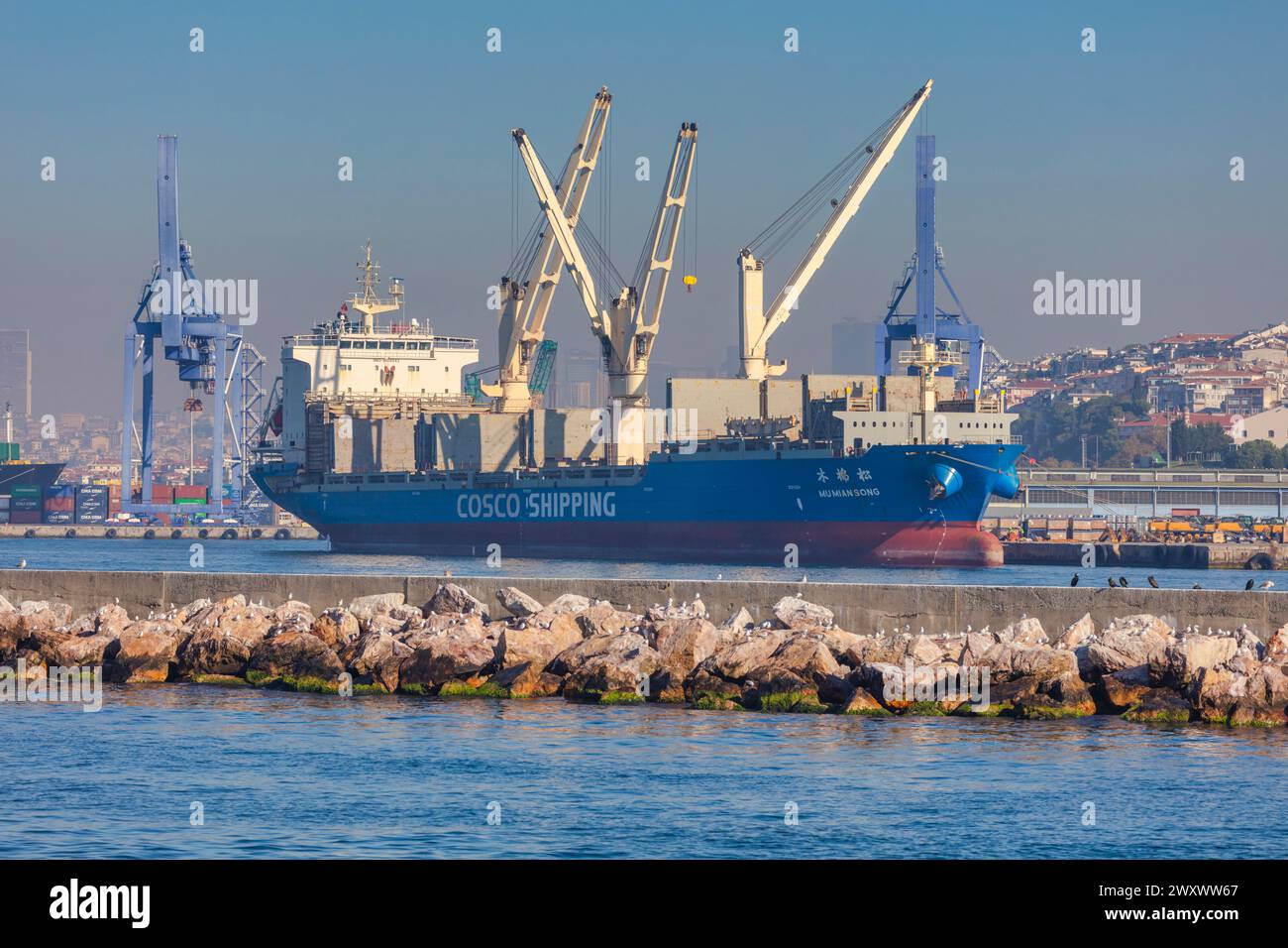 Nave al Bosforo, Istanbul, Turchia Foto Stock