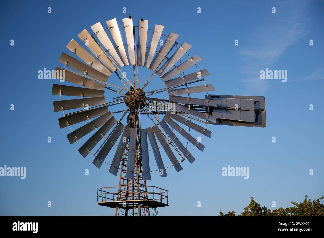 mulino a vento utilizzato per regolare il flusso d'acqua in agricoltura come pompa dell'acqua Foto Stock