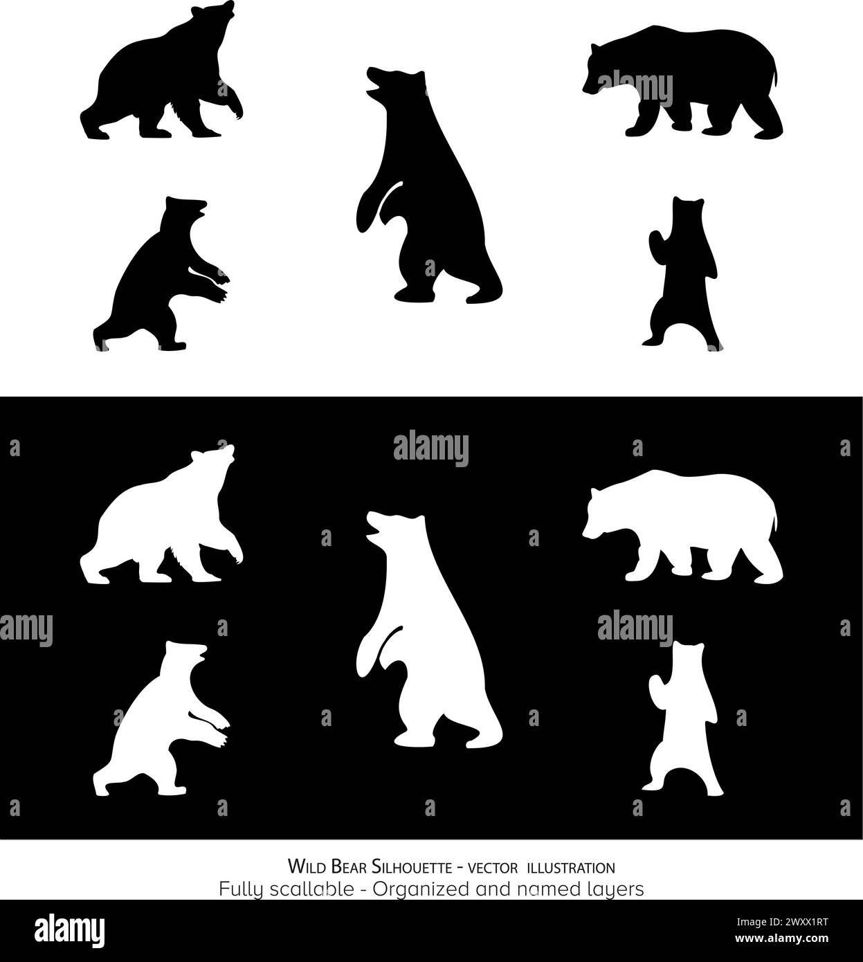 Set di silhouette di Orso selvatico - silhouette di animali. illustrazione vettoriale. silhouette minimalista. Fauna selvatica Illustrazione Vettoriale