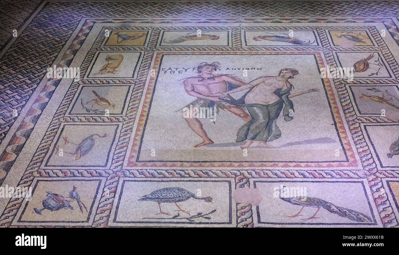 Mosaico di Antiope, Museo del mosaico di Zeugma, Gaziantep, provincia di Gaziantep, Turchia Foto Stock