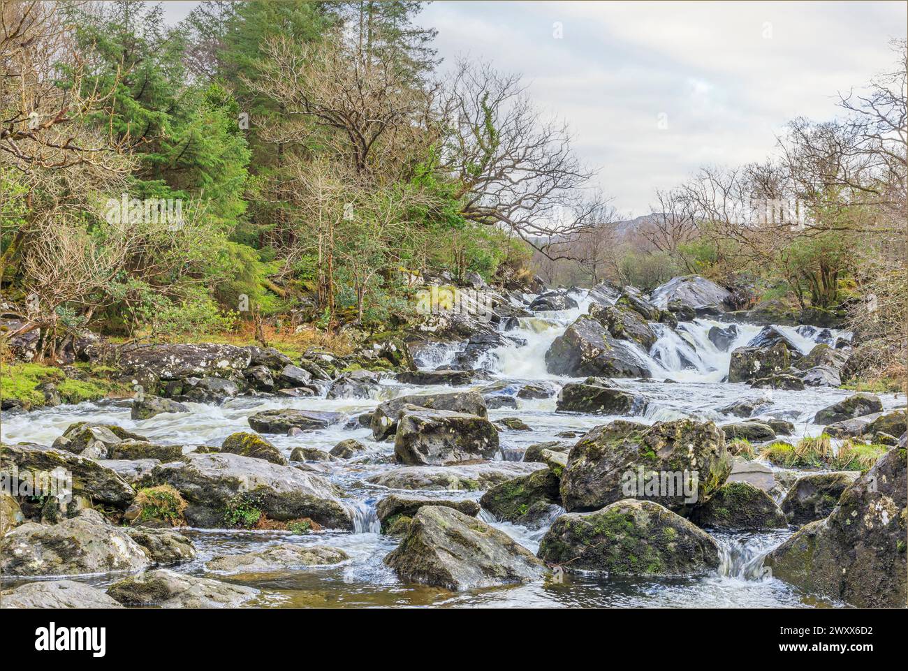 L'acqua si riversa velocemente sulle rocce lungo una collina nella natura selvaggia dell'Irlanda Foto Stock