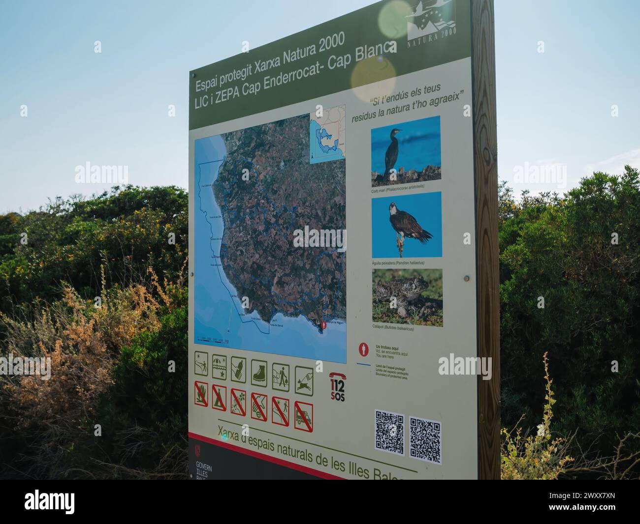 Maiorca, Spagna - 26 giugno 2023: Un segno che mostra immagini di varie specie di uccelli trovate nella foresta di Llucmajor, Isole Baleari, Spagna - Espai protegit Xaraxa natura 2000 Foto Stock