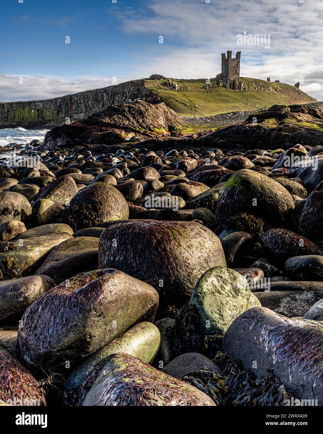 Il castello di Dunstanburgh Foto Stock