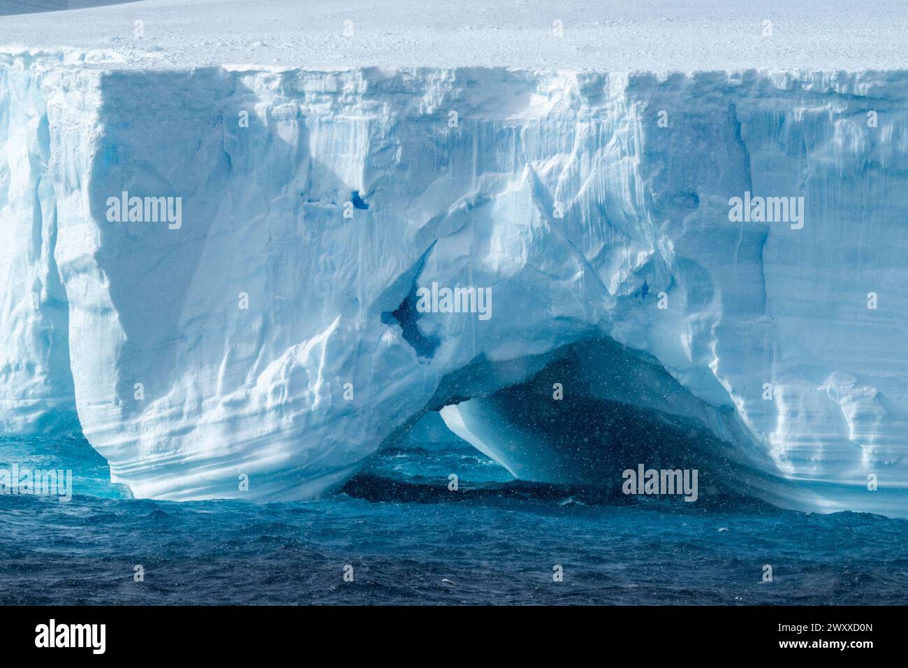 Antartide, Mare di Ross, Capo Adare. Iceberg tabulari a Capo Adare nella neve. Foto Stock