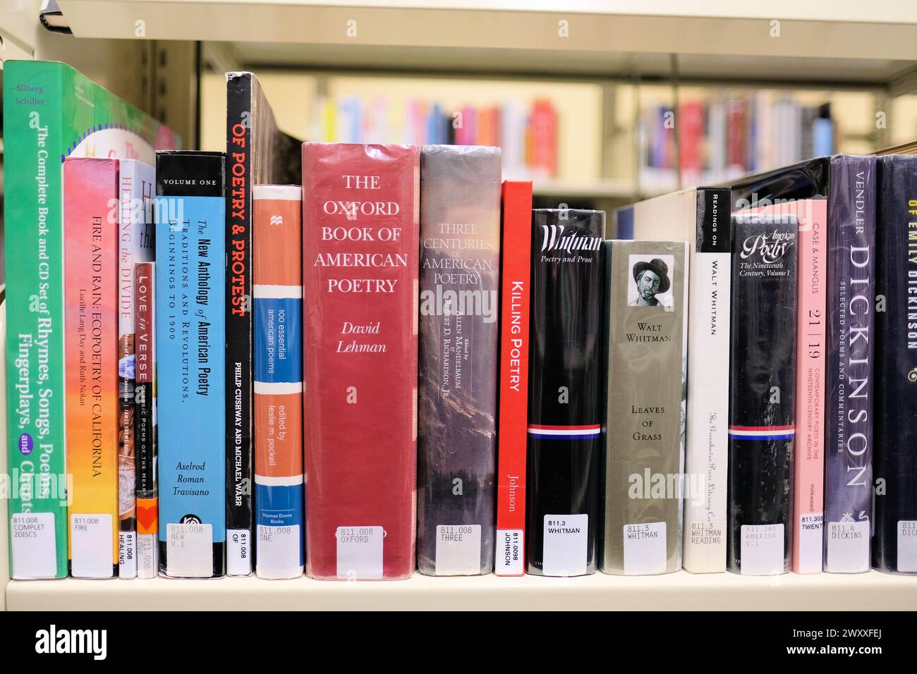 Libreria con raccolte di poesie, antologie: Poesia americana, Whitman, lingua inglese, Oxford Book of American Poetry, protesta, letteratura. Foto Stock