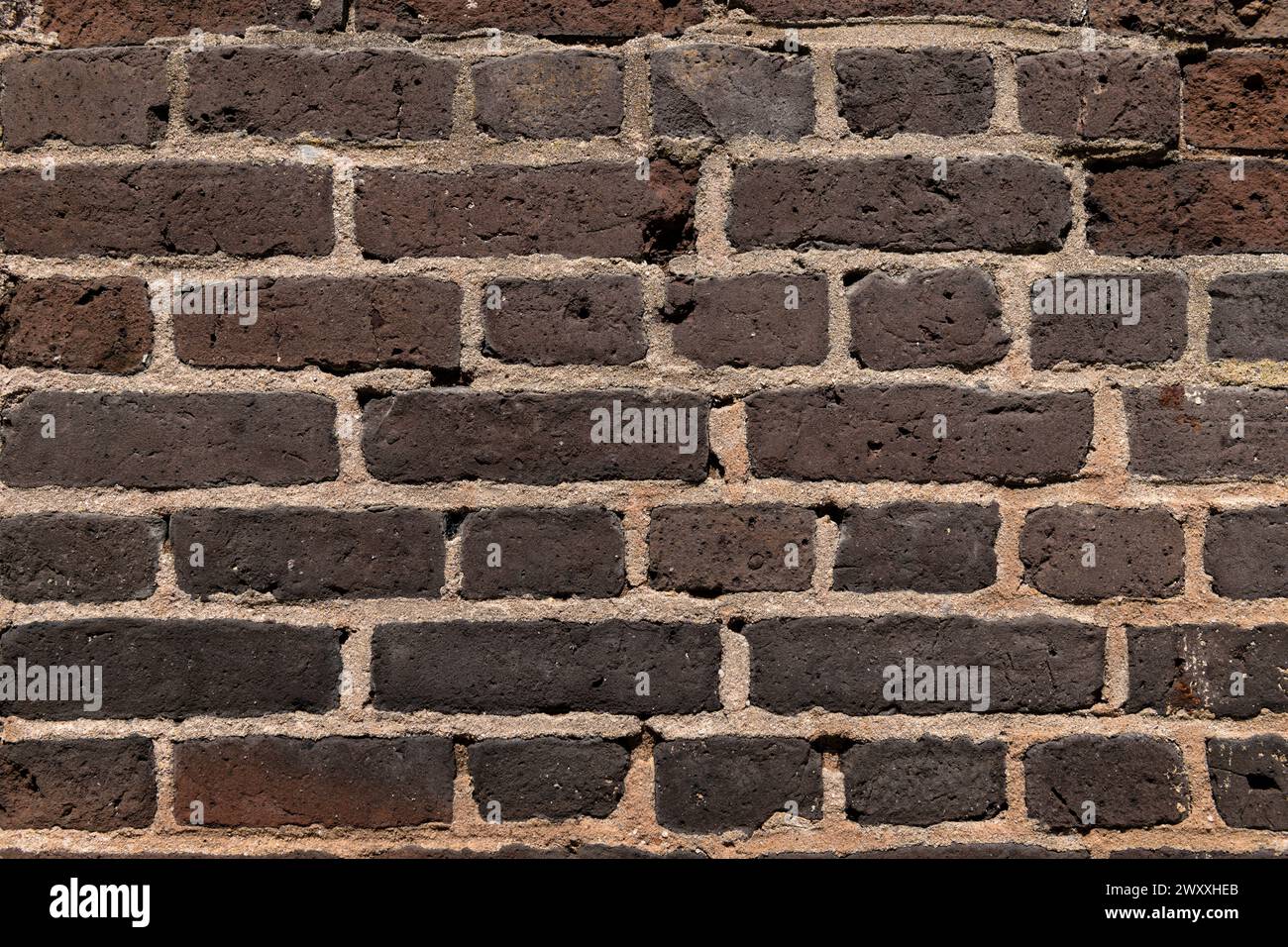 Frammento di muro di mattoni da Fort Sumpter a Charleston, South Carolina. Le impronte digitali delle persone schiavizzate possono essere osservate in alcuni mattoni. Foto Stock