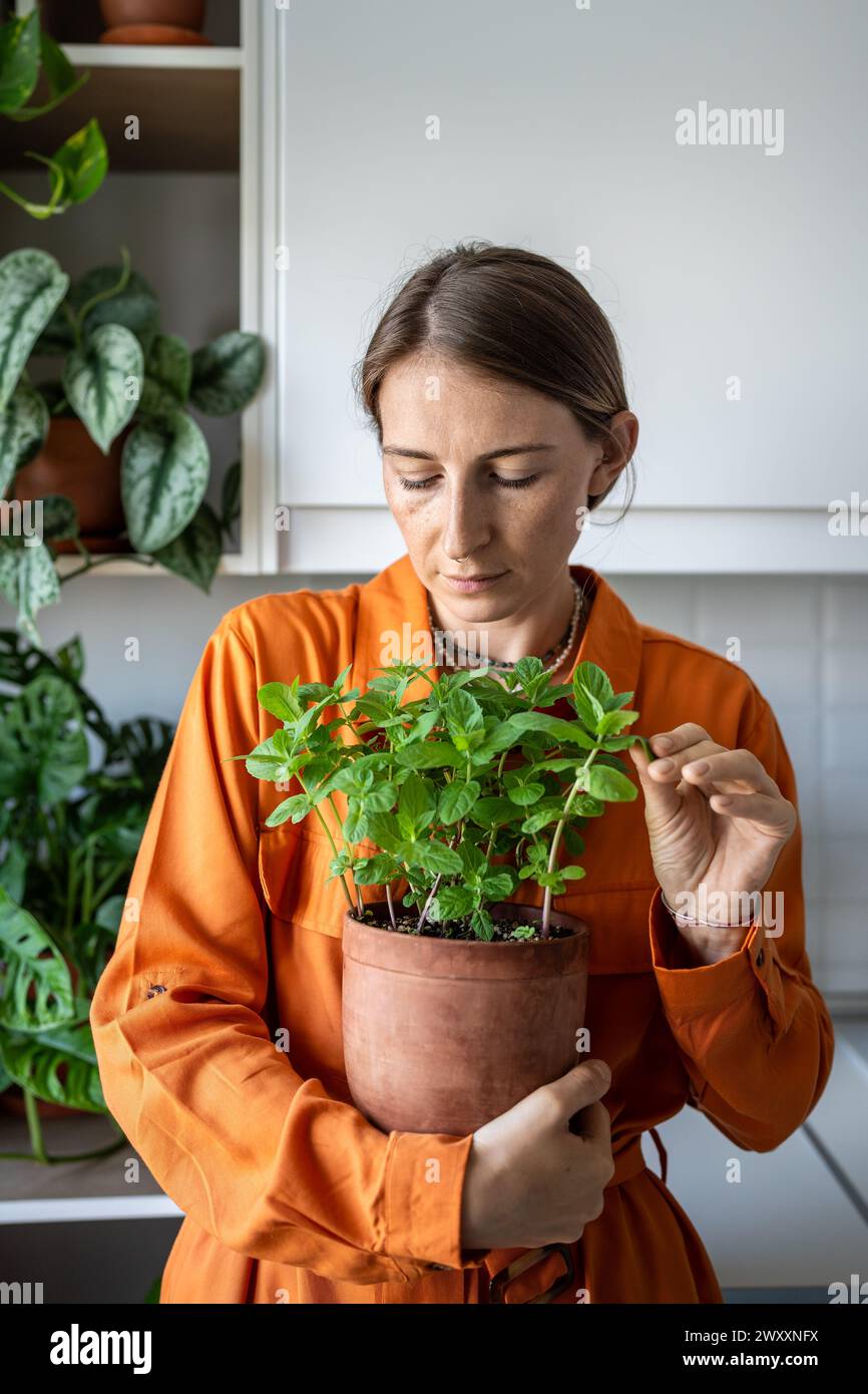 La donna abbraccia la pentola con le erbe di menta. Giardiniere donna in abito arancione tocca foglie di menta coltivata in casa Foto Stock