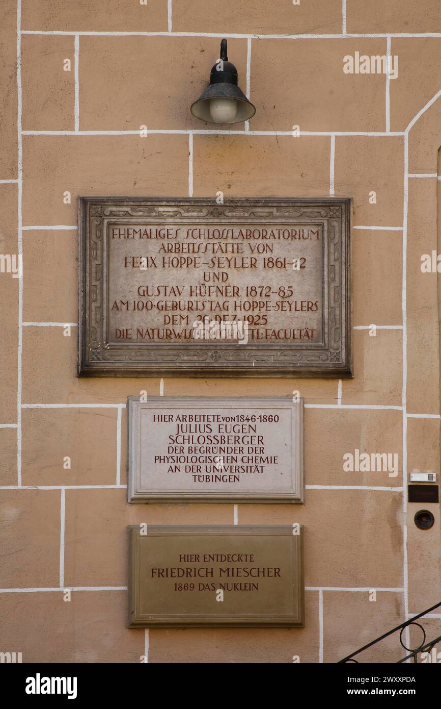 Pannelli informativi all'ingresso del laboratorio del castello, ex laboratorio del castello, apparecchiatura di illuminazione, lampada, luogo di lavoro di Felix Hoppe-Seyler, Julius Eugen Foto Stock