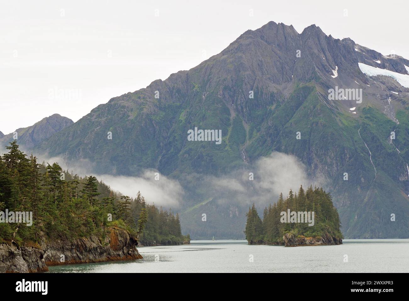 Foresta pluviale costiera temperata, densa nuvole e montagne, Valdez, Alaska, Stati Uniti Foto Stock