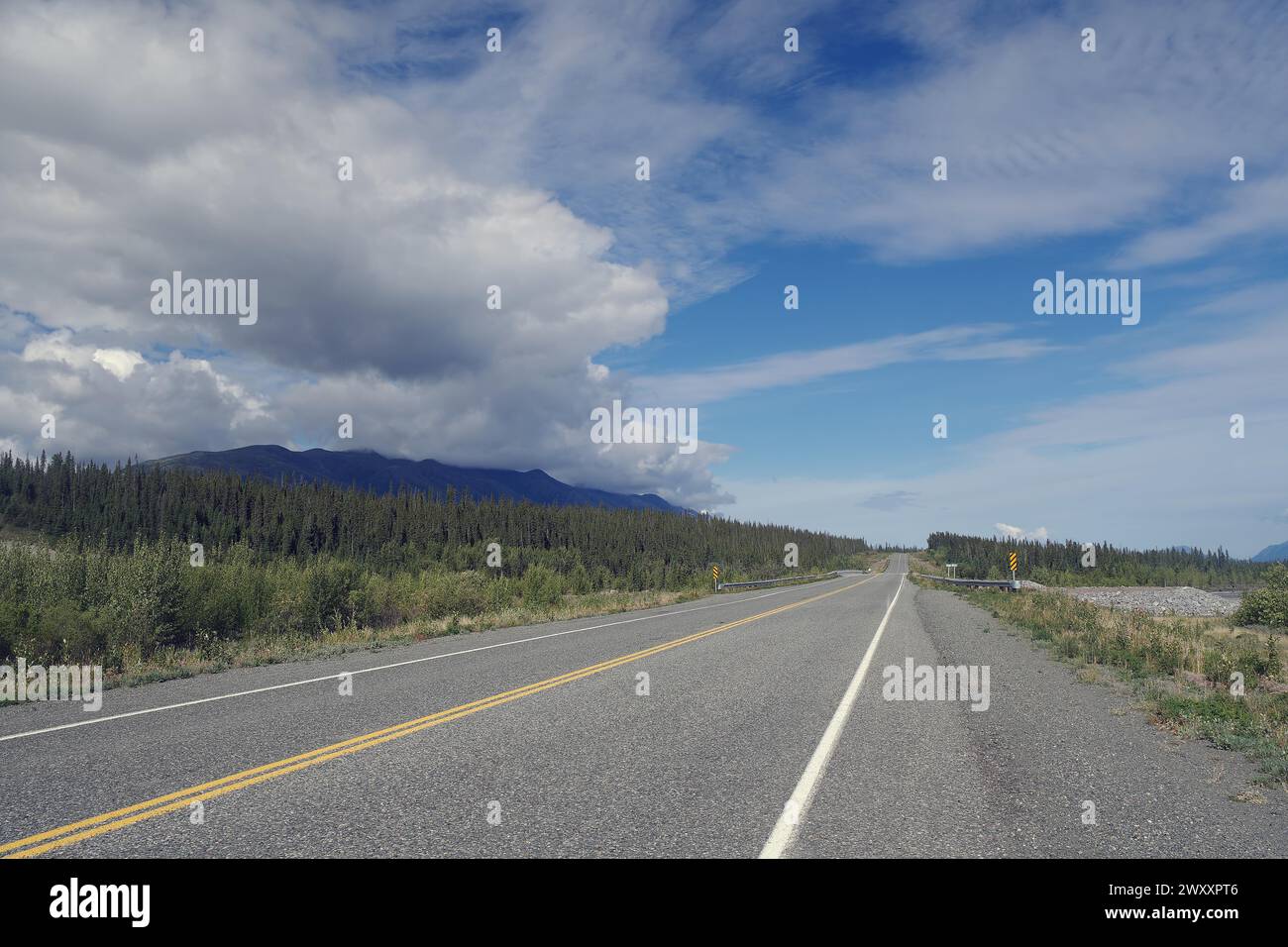 Strada senza fine senza traffico, foresta, avventura, natura selvaggia, Alaska Highway, territorio dello Yukon, Canada Foto Stock