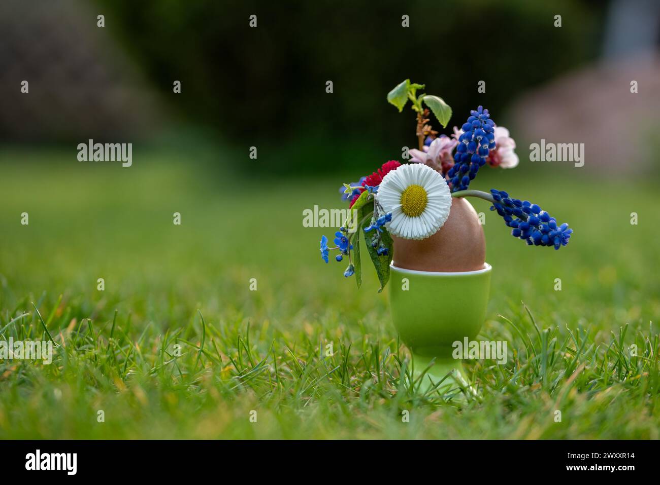 Una colorata composizione floreale in un guscio d'uovo, annidato in un prato verde, in Germania Foto Stock