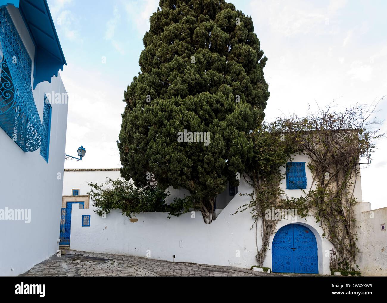 Particolare di Sidi Bou Said, una pittoresca cittadina e popolare attrazione turistica situata nel nord della Tunisia, a circa 20 km a nord-est di Tunisi Foto Stock