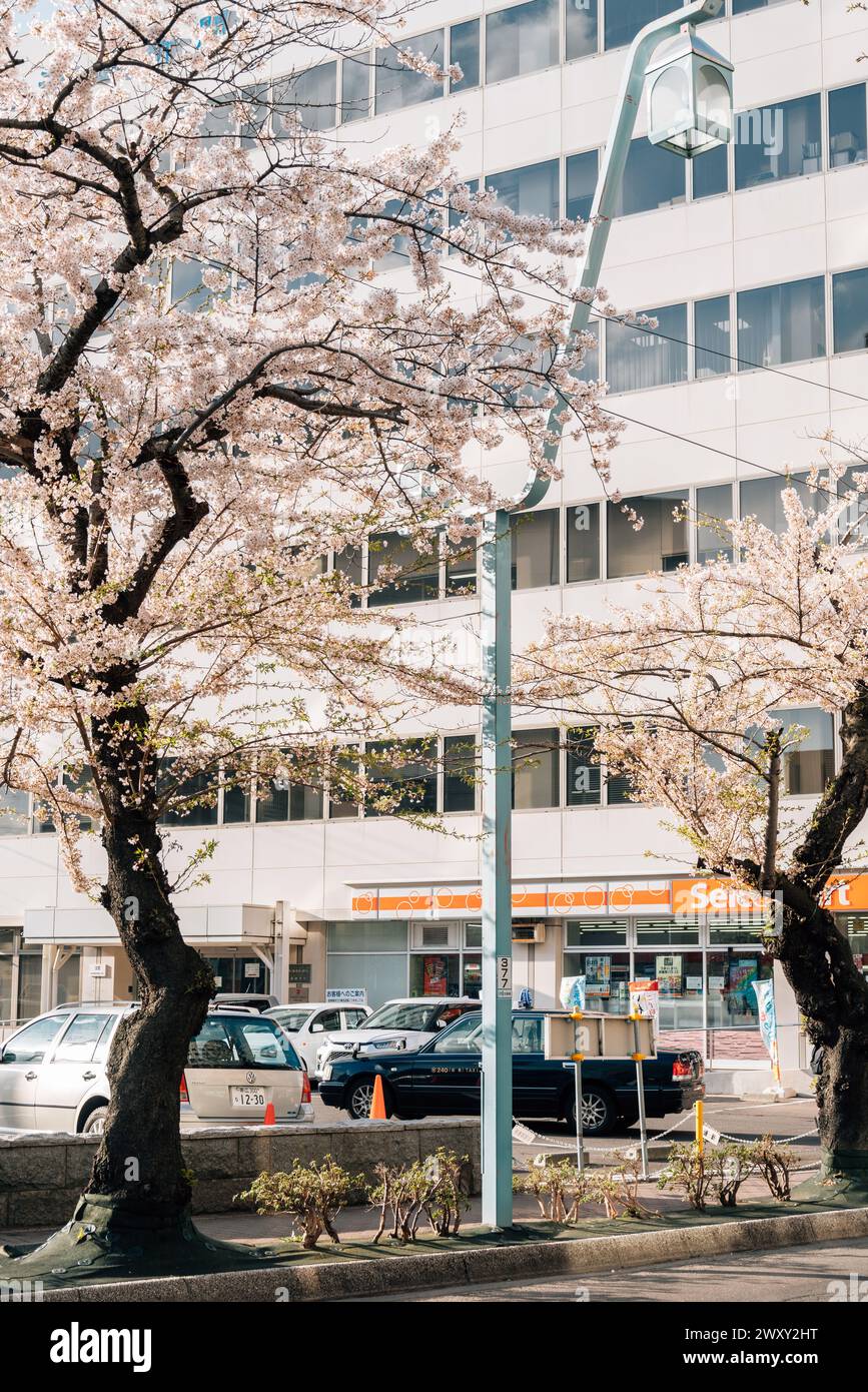 Hakodate, Hokkaido, Giappone - 23 aprile 2023: Minimarket di Hokkaido Seicomart con fiori di ciliegio Foto Stock