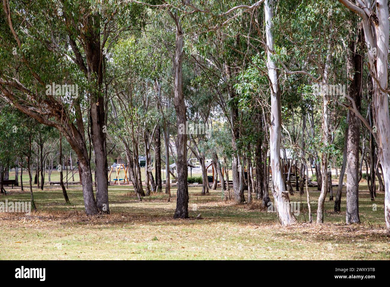 Parklea, sobborgo di Sydney e parte della Greater Western Sydney con Davison riserva spazio verde tra le aree abitative di Parklea, NSW, Australia Foto Stock