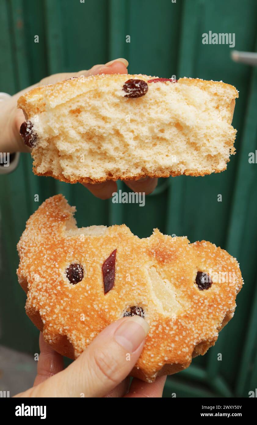 Tenere a mano deliziosi Cupcakes Kudeejeen portoghesi-siamesi che crescono all'esterno e morbidi all'interno Foto Stock