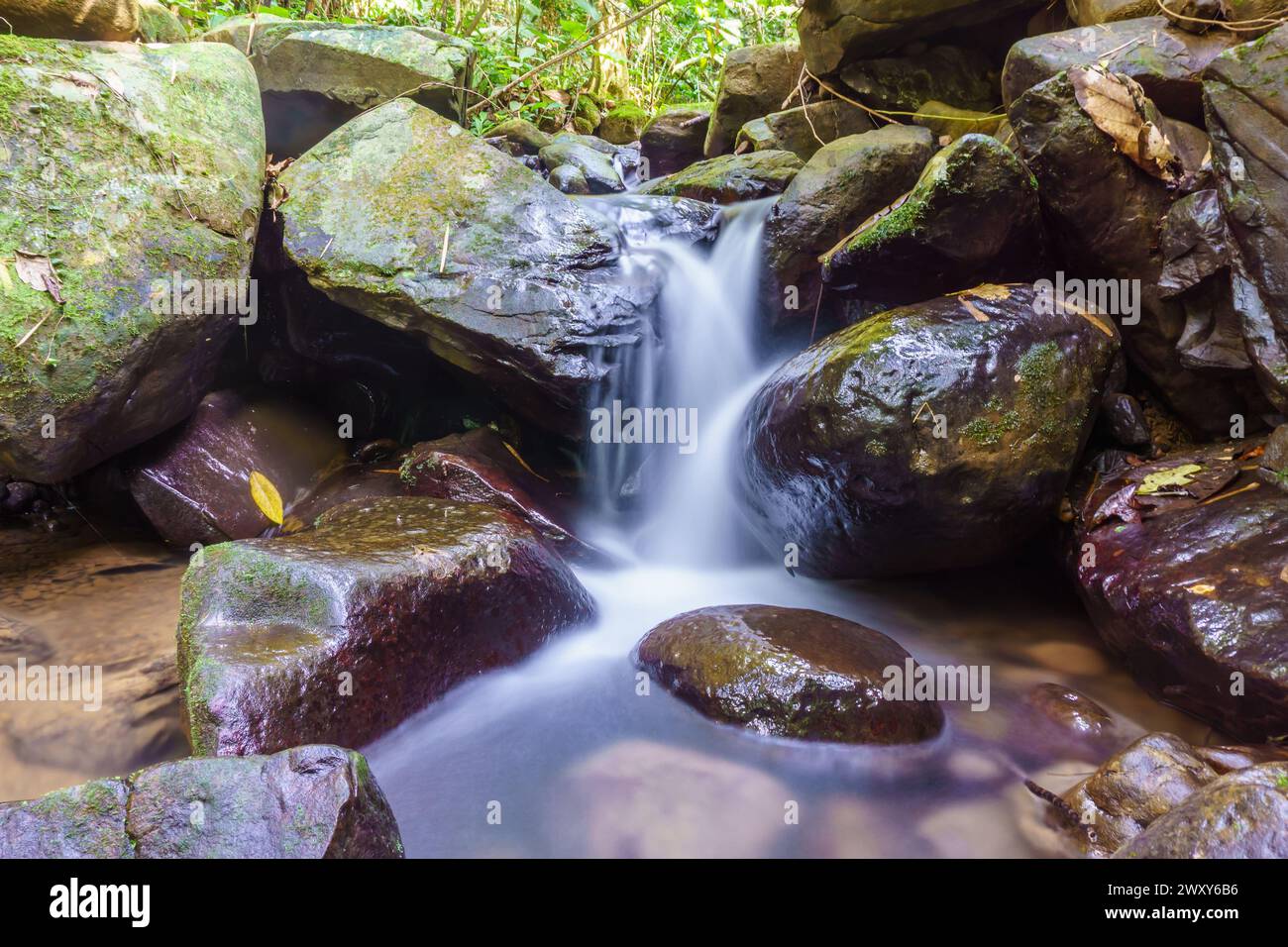 Splendida cascata nella giungla del Borneo Foto Stock