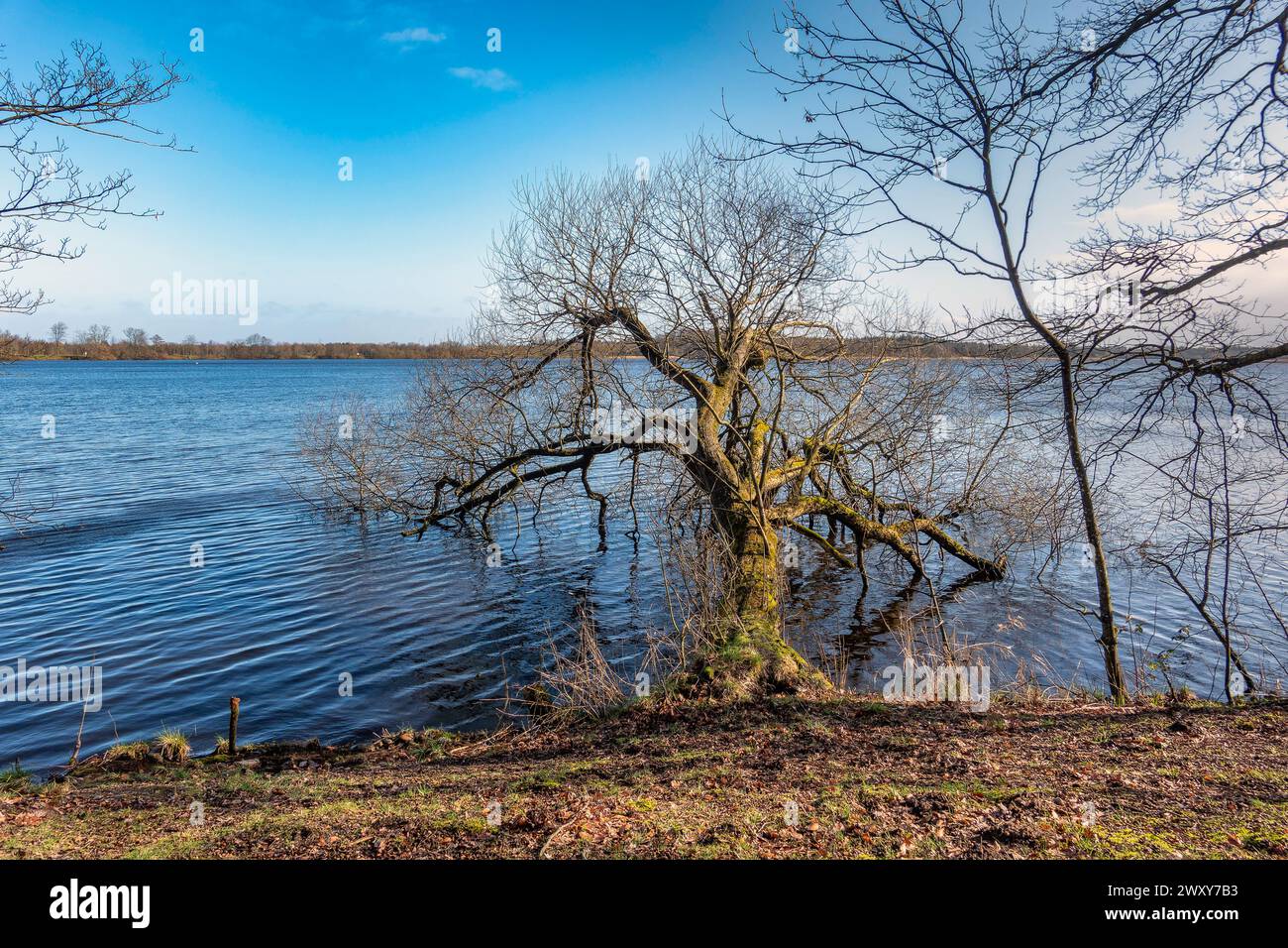 Lago artificiale di Karlsgarde nella Danimarca rurale Foto Stock