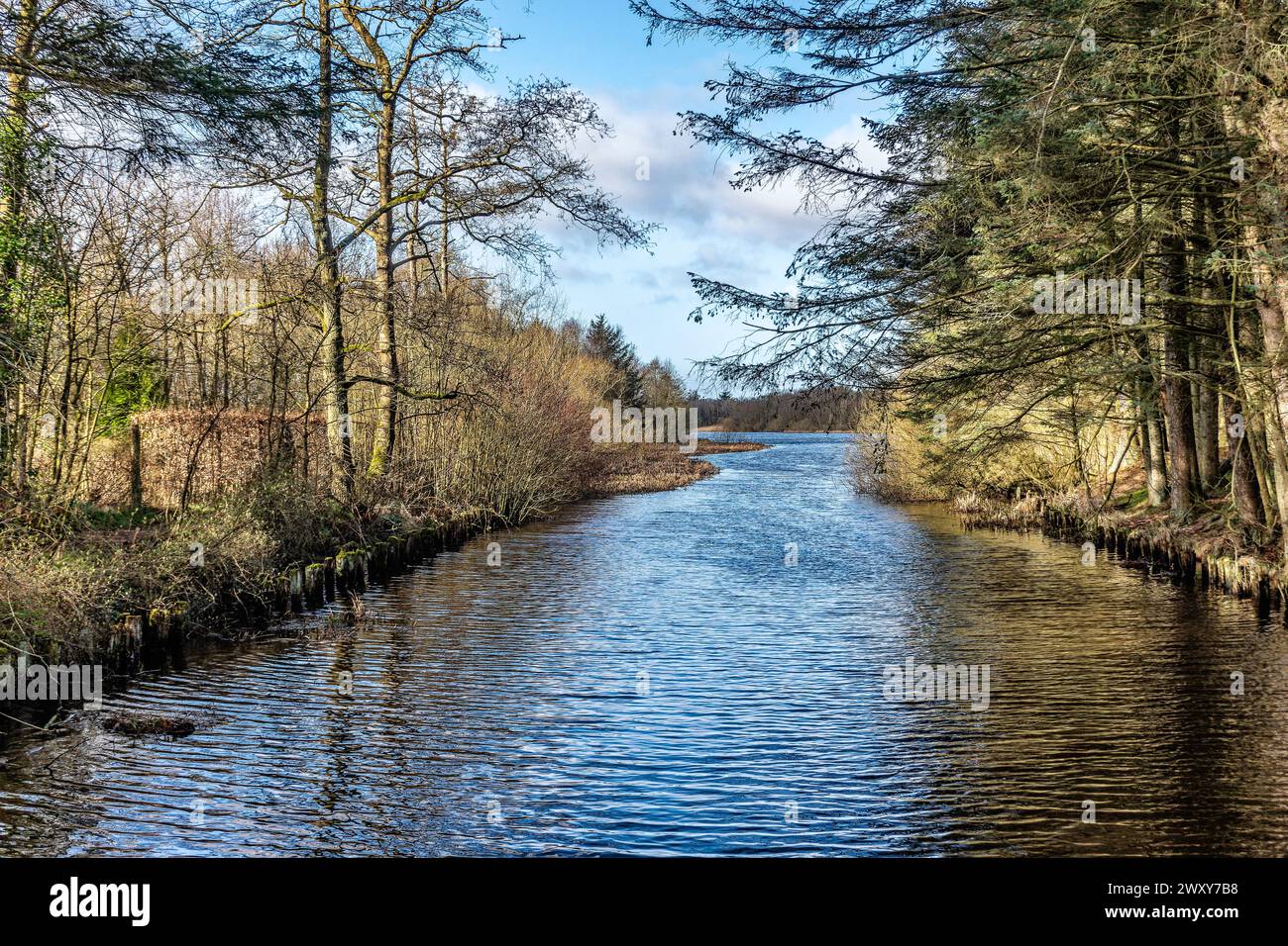 Lago artificiale di Karlsgarde nella Danimarca rurale Foto Stock